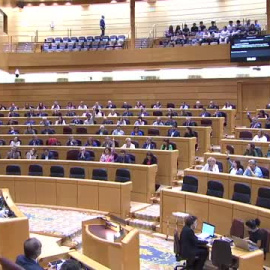 El Senado aprueba la reforma de la ley del 'solo sí es sí' 