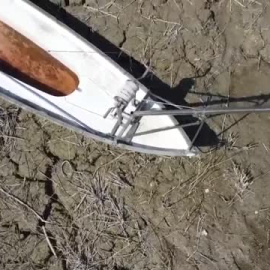 La falta de lluvias, un drama en toda Europa