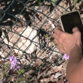 Encuentran restos óseos de una mujer joven en una maleta en Málaga 