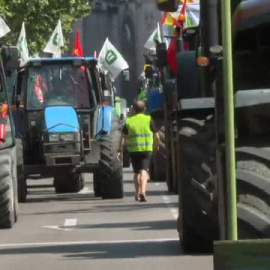 Los agricultores exigen en Madrid ayudas directas para paliar los efectos de la sequía