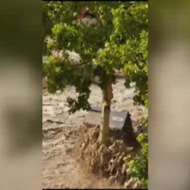 Angustiosas imágenes del rescate extremo de una mujer por los bomberos tras la tromba en Zaragoza