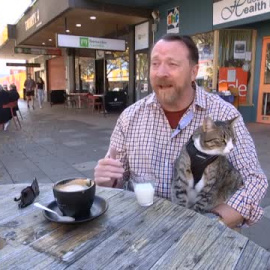 Bandit, el gato de asistencia que ayuda a superar un trastorno postraumático