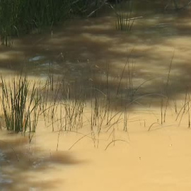 28 mujeres asesinadas este año, las dos últimas este fin de semana