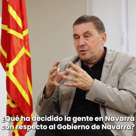 Arnaldo Otegi: "No vamos a obstaculizar que se forme un gobierno de progreso en ningún sitio"