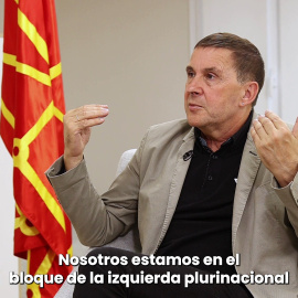 Arnaldo Otegi: "Somos internacionalistas y no deseamos gobiernos de la extrema derecha en ningún sitio"