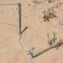 Las dunas de Zahara de los Atunes, amenazadas por las fotos veraniegas