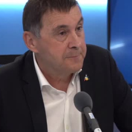 Otegi apuesta por abordar el modelo territorial paso a paso, "sin dinámicas abruptas y en profundidad"