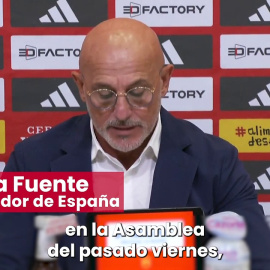 Luis de la Fuente, sobre sus aplausos a Rubiales: "He recibido duras críticas por ello y son totalmente merecidas"