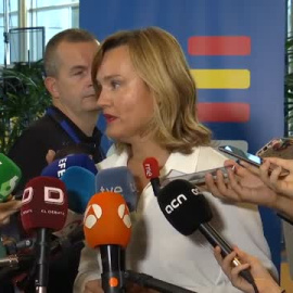 Alegría advierte de que aún no estamos en el escenario de negociar la investidura de Sánchez