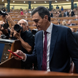 Sánchez: "En algún momento de la legislatura tendremos que abordar el reconocimiento del Estado palestino"