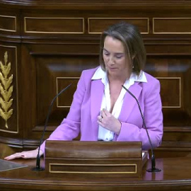 El PP no vota a favor de la moción "por respeto a los españoles" y no vota en contra "por respeto a Tamames"