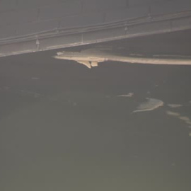 Mueren tres personas el incendio de un edificio en Rubí (Barcelona)