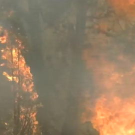 El incendio que afecta a Castellón y Teruel ya ha arrasado tres mil hectáreas