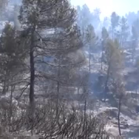 El viento y el calor dificultan poner fin a los incendios de Castellón y Teruel