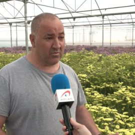 El sector de la floricultura se prepara para la temporada alta de Semana Santa