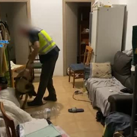 La Policía desarticula dos redes criminales dedicadas a la explotación laboral en Cuenca y Málaga