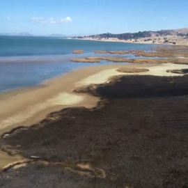 Preocupante situación del Lago Titicaca por la sequía
