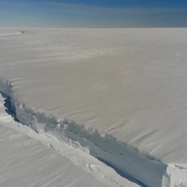 Situación crítica en la Antártida: un informe revela los peligros de su extinción