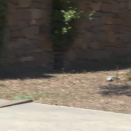 Multas a los vecinos de Palafrugell que incumplen la prohibición de regar jardines o llenar piscinas