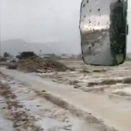 La granizada caída en Lorca arrasa varios cultivos de sandía