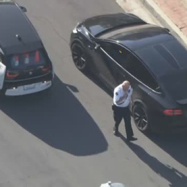 Brutal ataque de un enjambre de abejas a un policía en EEUU