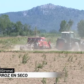 Los agricultores buscan no desperdiciar ni una gota
