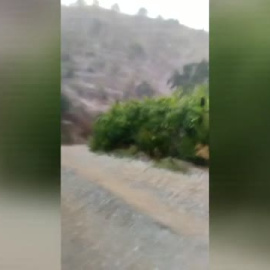 Las fuertes lluvias y tormentas dejaron un centenar de incidentes en Andalucía