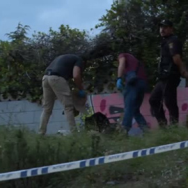 La Policía halla muerto en Madrid al hombre que asesinó al conserje de su edificio