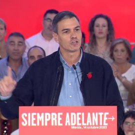 Sánchez: "Israel tiene el derecho de defenderse, pero siempre dentro del derecho internacional humanitario"