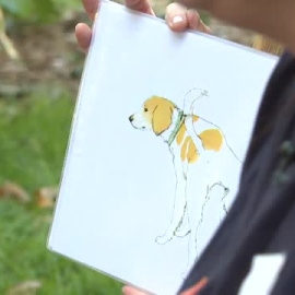 Los beneficios de la terapia con perros para los niños con cáncer