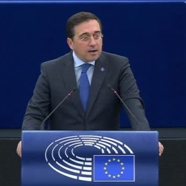 Albares urge al Parlamento Europeo a trabajar por la solución de los dos estados "con mucha urgencia"