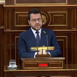 Aragonés asegura en el Senado que la amnistía es solo el punto de partida hacia el referéndum