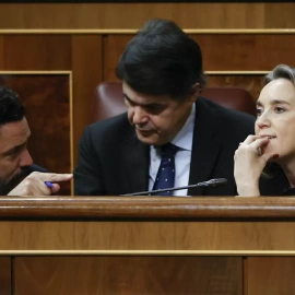 14/12/2022.- Los diputados del PP Cuca Gamarra, Carlos Rojas y Guillermo Mariscal (i), durante la sesión de control del Gobierno celebrada este miércoles en el Congreso en Madrid. EFE/ Mariscal
