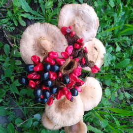  Imagen cedida por el autor.