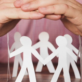  Una de las ovejas esperando en las afueras del Wanda para pasar por el camino marcado. (Fuente: Giphy)