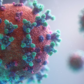 El virus del papiloma humano es un virus común que se transmite de persona a persona por el contacto directo con la piel durante la actividad sexual. Fuente: Fusion Medical Animation vía Unsplash.