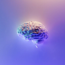 El ictus es una enfermedad cerebrovascular provocada por un trastorno de la circulación cerebral. Fuente: Milad Fakurian / Unsplash.