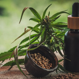 Multitud de famosos han dicho sin tapujos que han hecho uso del Cannabidiol para enfrentarse a enfermedades crónicas. (Fuente: CBD-Infos-Com / Pixabay).