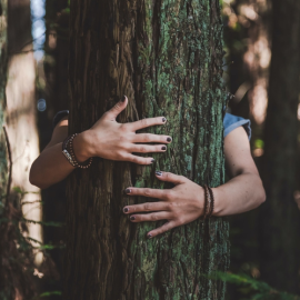 Dendrofilia, excitación por los árboles. Fuente: Trent Haaland (Unsplash)