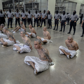 Presos del Centro de Confinamiento del Terrorismo (CECOT) de El Salvador.