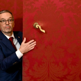 El líder de la extrema derecha austríaca, Herbert Kickl, comparece ante los medios después de conversar con el presidente del país, a 6 de enero de 2025, en Viena.
