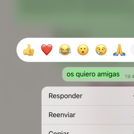 Sola no puedes, con amigas sí de Leonor Cervantes Vargas