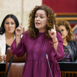 La portavoz del Grupo Por Andalucía, Inma Nieto, en una imagen de archivo.