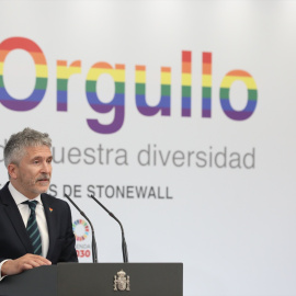 El ministro de Interior en funciones. Fernando Grande-Marlaska, durante su intervención en el acto de recibimiento a representantes del colectivo LGTBI en La Moncloa.