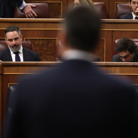 El presidente de Vox, Santiago Abascal, durante la sesión de control al Gobierno en el Congreso de los Diputados.
