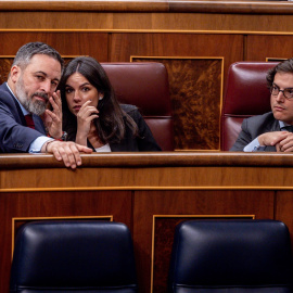 El presidente de VOX, Santiago Abascal; la portavoz de VOX en el Congreso, Pepa Millán y el diputado de VOX, José María Figaredo, durante la sesión de control al Gobierno.