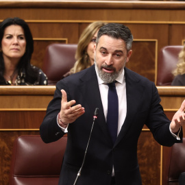 El presidente de Vox, Santiago Abascal, durante la última sesión de control al Gobierno en el Congreso.