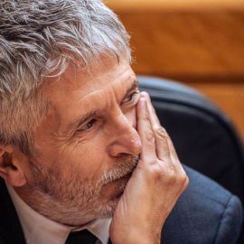 El ministro del Interior, Fernando Grande-Marlaska, durante una sesión de control al Gobierno en el Senado, a 11 de febrero de 2025, en Madrid.