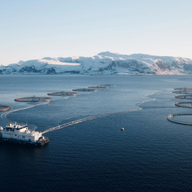 Piscifactoría de la empresa de mariscos Mowi, en Noruega.