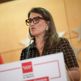 La portavoz de Más Madrid en la Asamblea de Madrid, Manuela Bergerot, durante una rueda de prensa, a 29 de enero de 2025.